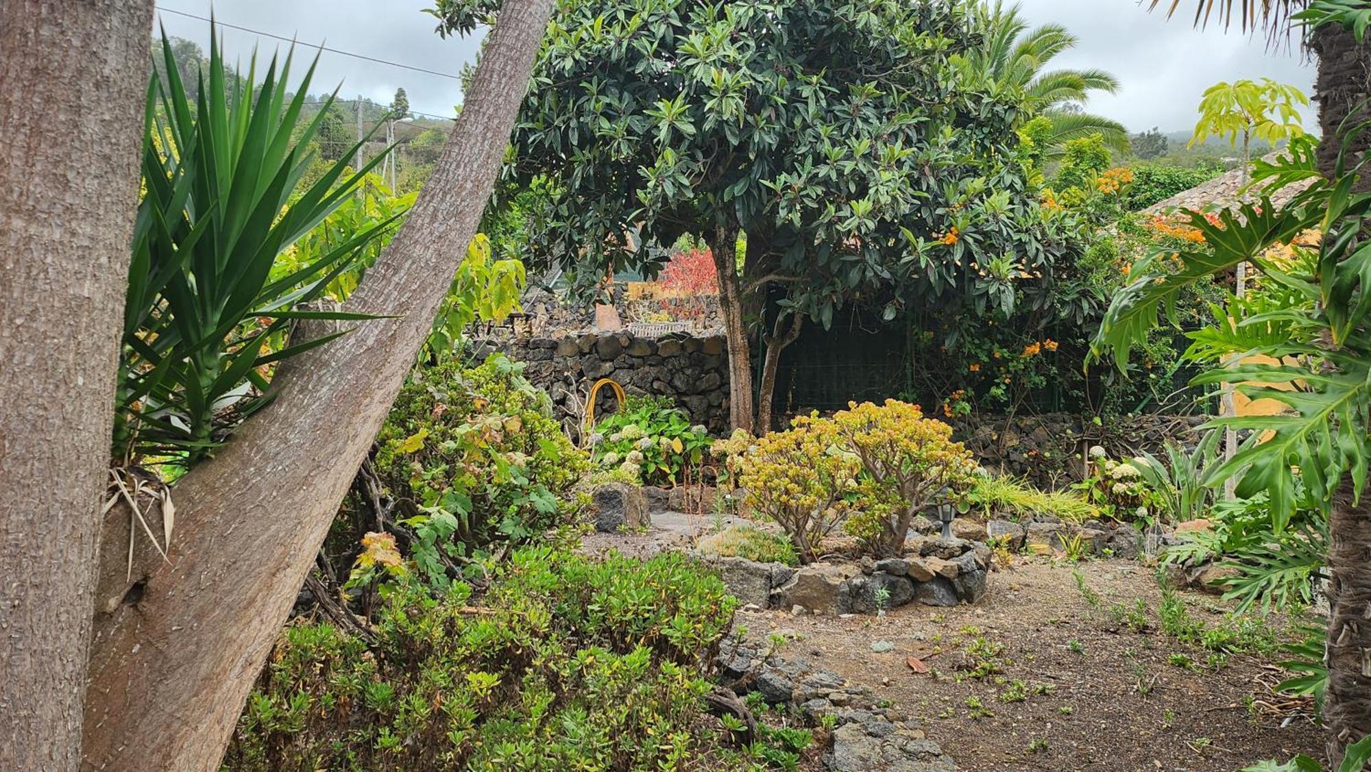 Oasis Hill Botanical Garden Villa Icod De Los Vinos Exteriör bild