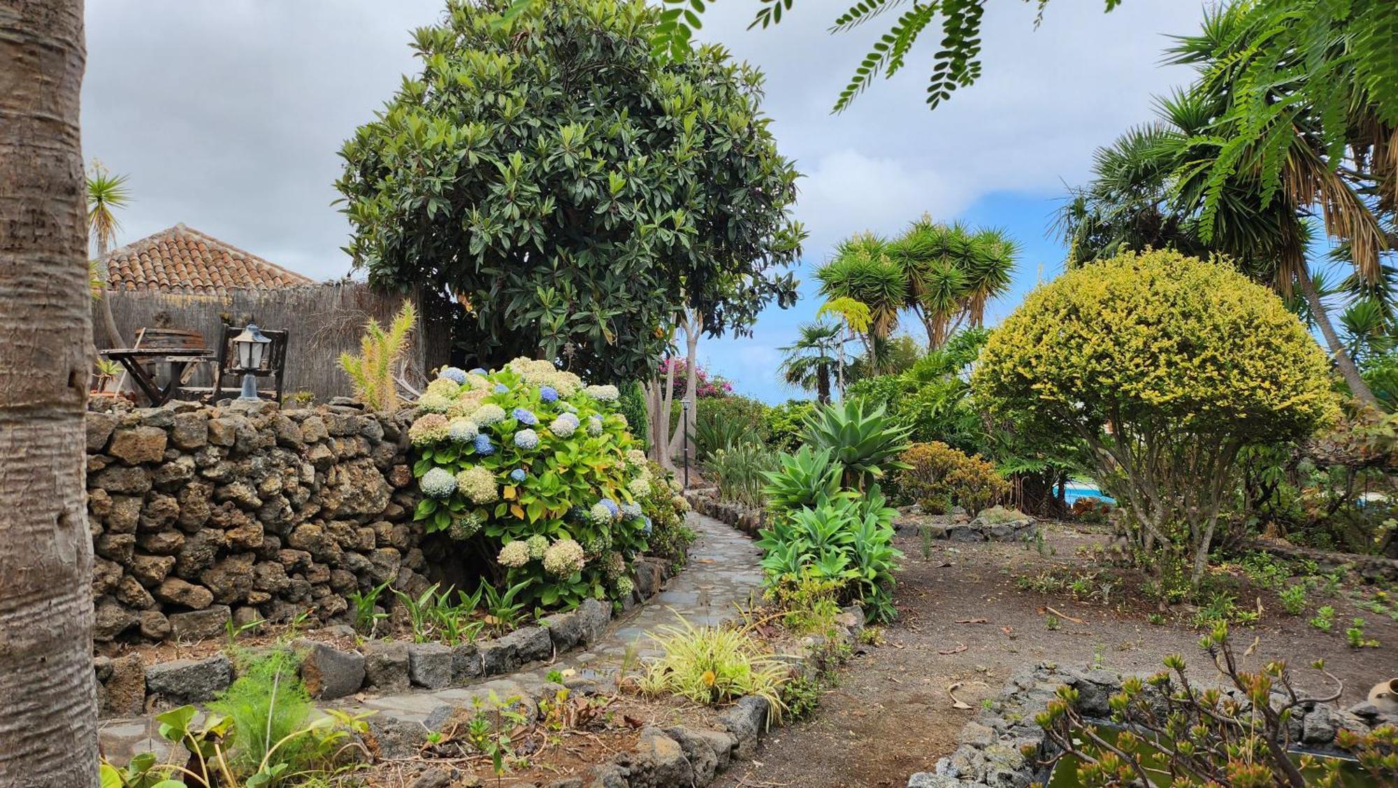Oasis Hill Botanical Garden Villa Icod De Los Vinos Exteriör bild
