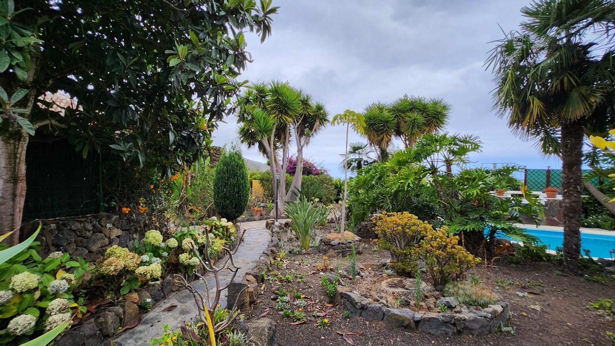 Oasis Hill Botanical Garden Villa Icod De Los Vinos Exteriör bild