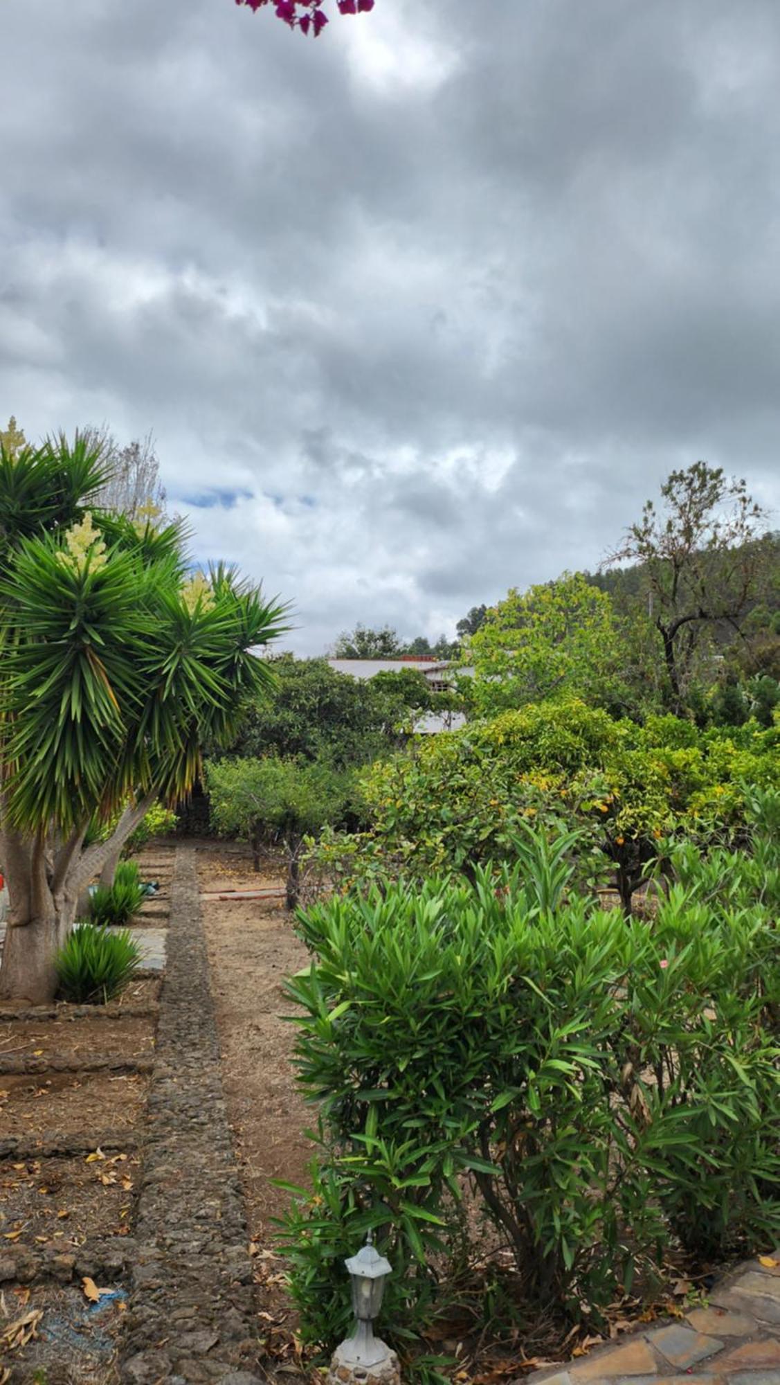 Oasis Hill Botanical Garden Villa Icod De Los Vinos Exteriör bild